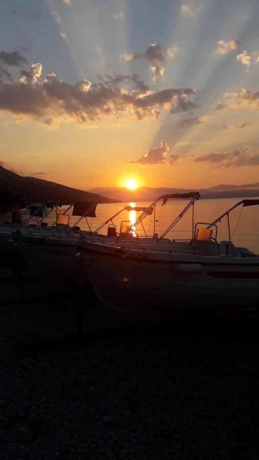Vasiliki See View Apartments Barbáti Kültér fotó