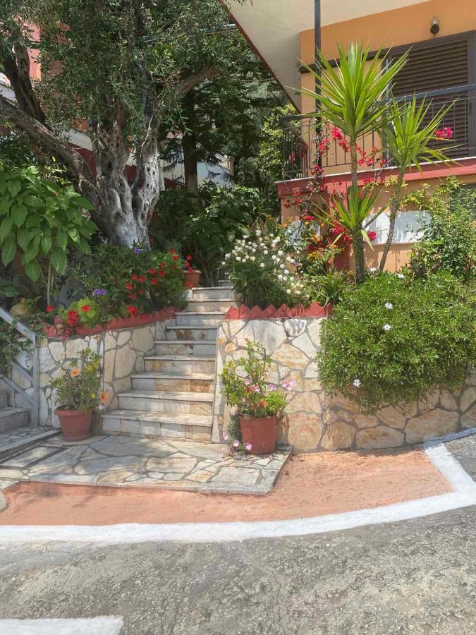 Vasiliki See View Apartments Barbáti Kültér fotó