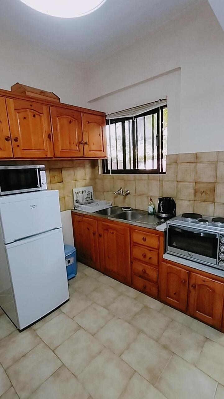 Vasiliki See View Apartments Barbáti Kültér fotó
